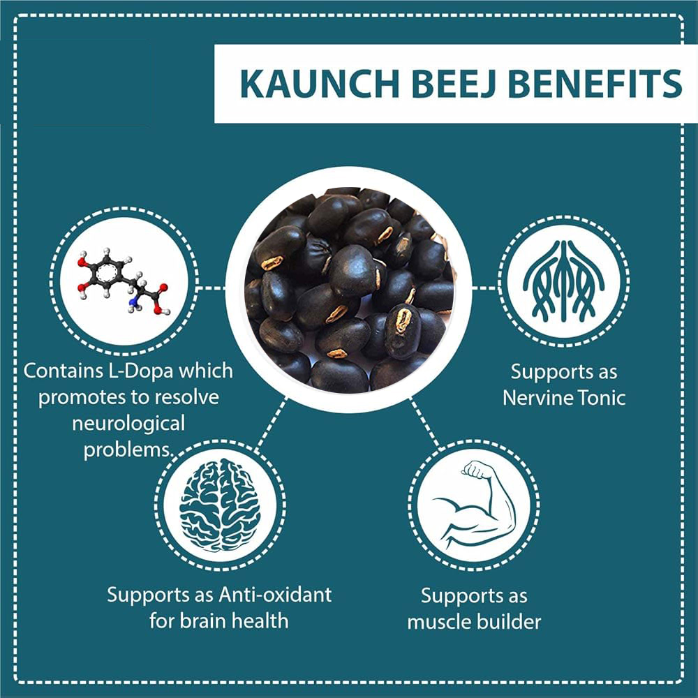 KOUNCH BEEJ