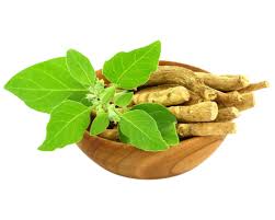 Aswagandha roots (Withania Somnifera)
