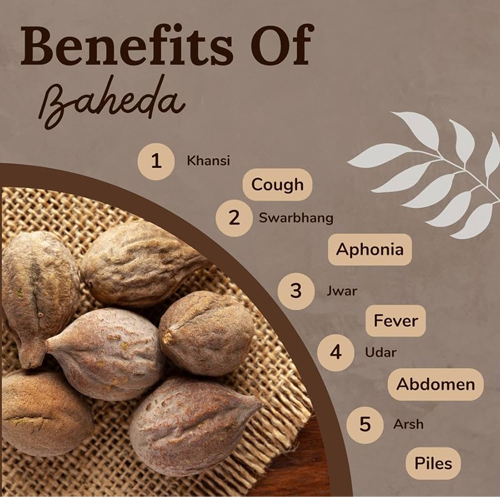 Baheda Seeds, Bivitak Seeds